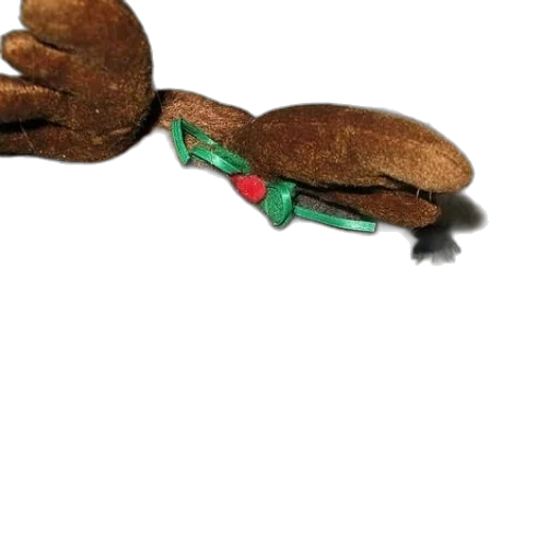 shoes, food, hat, weapon transparent PNG cut-out