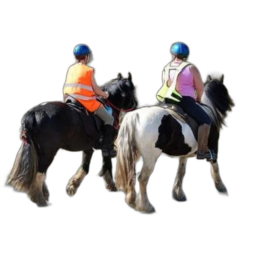 staff, animal, two, people transparent PNG cut-out