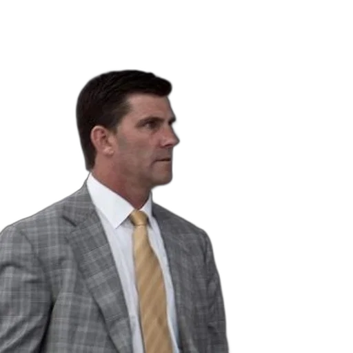 jacket, man, gray, plaid transparent PNG cut-out