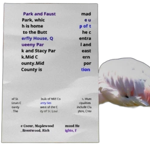 animal, creature, face, mask transparent PNG cut-out