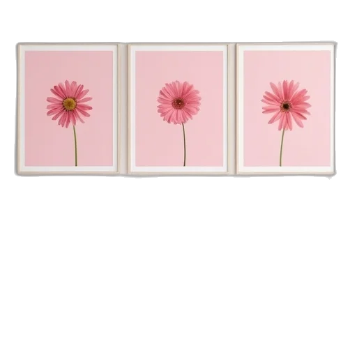 flower, furniture, jewelry, crown transparent PNG cut-out