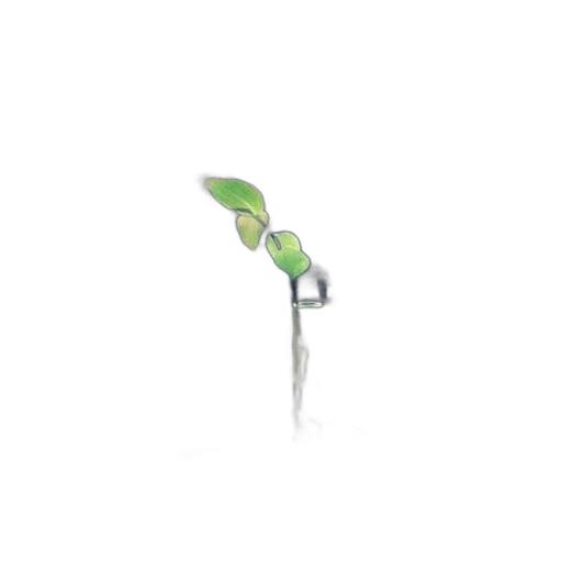 staff, tree, flower, weapon transparent PNG cut-out