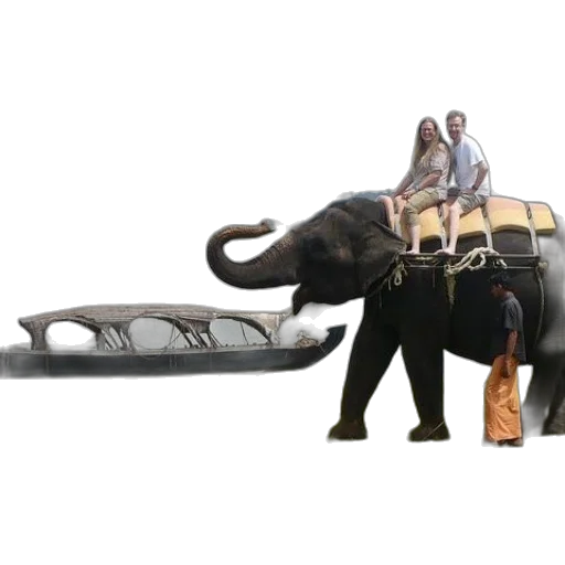 animal, car, staff, concept art transparent PNG cut-out