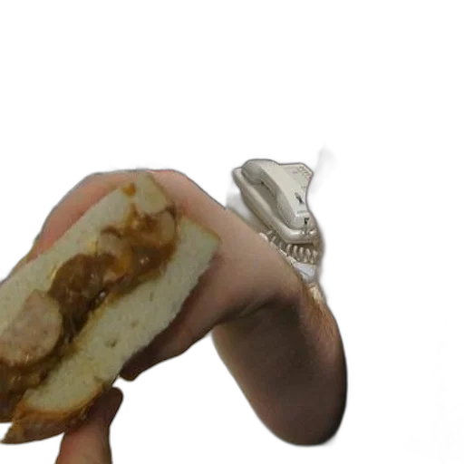 food, creature, animal, dragon transparent PNG cut-out