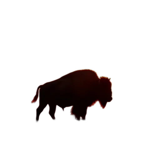 animal, creature, face, weapon transparent PNG cut-out