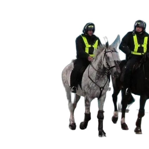 group, police, officers, horseback transparent PNG cut-out