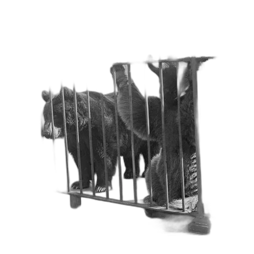 animal, staff, furniture, creature transparent PNG cut-out