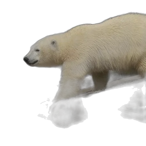 animal, creature, 3d render, concept art transparent PNG cut-out