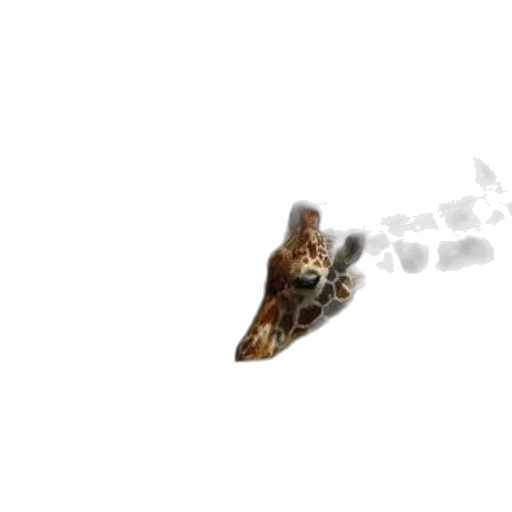 jewelry, weapon, dragon, shoes transparent PNG cut-out