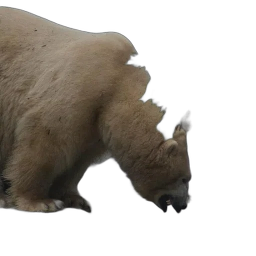 animal, creature, 3d render, photorealistic transparent PNG cut-out