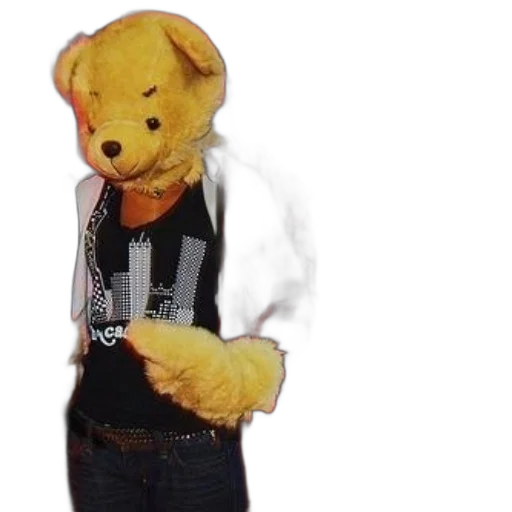 jacket, animal, staff, mask transparent PNG cut-out