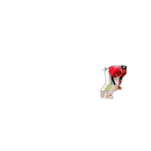 staff, animal, shoes, hat transparent PNG cut-out