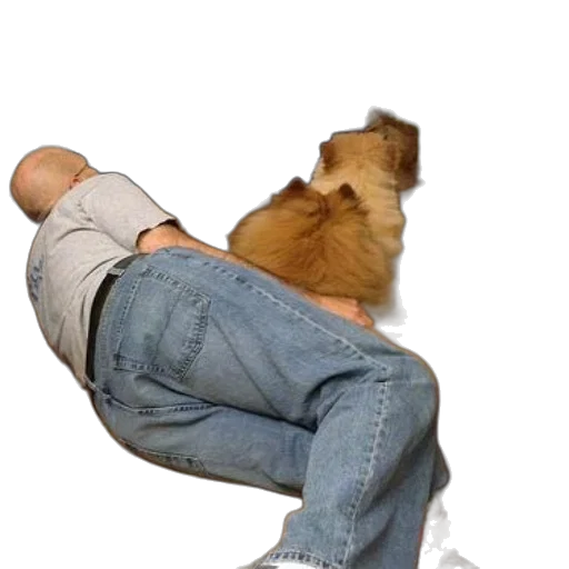 shoes, animal, creature, staff transparent PNG cut-out
