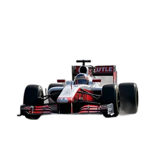car, weapon, animal, hair transparent PNG cut-out