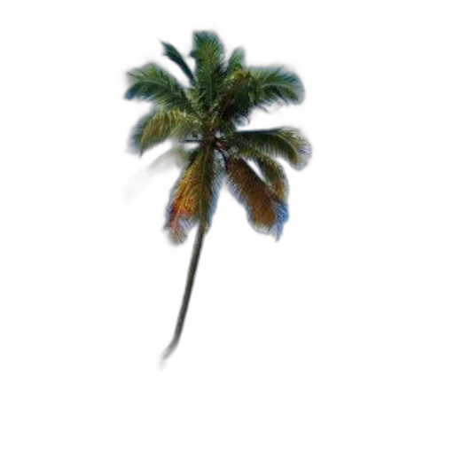 umbrella, tree, hat, staff transparent PNG cut-out