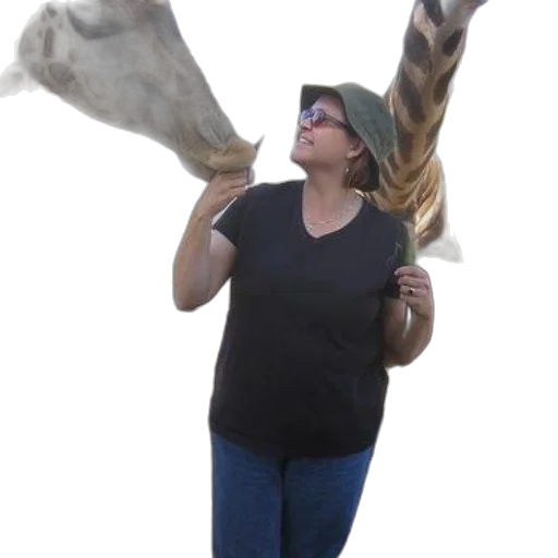hat, staff, animal, creature transparent PNG cut-out