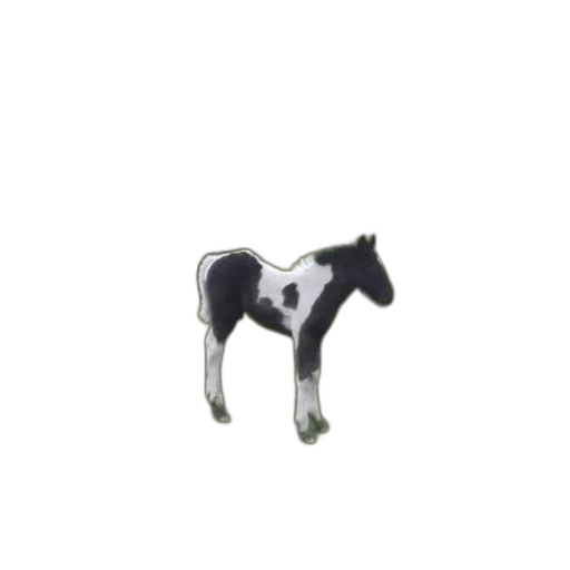 animal, jewelry, robot, staff transparent PNG cut-out