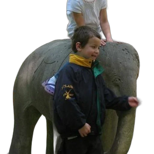 staff, animal, creature, jacket transparent PNG cut-out