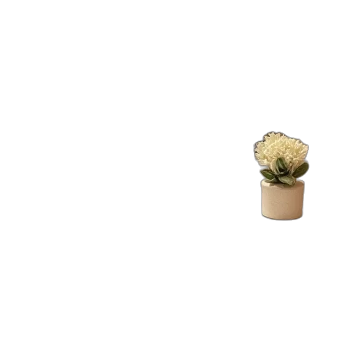 flower, crown, hat, furniture transparent PNG cut-out