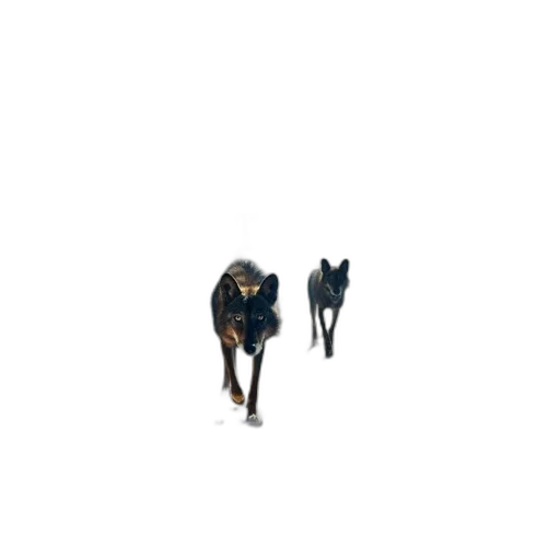 animal, creature, staff, robot transparent PNG cut-out