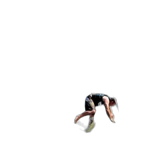 hair, creature, animal, shoes transparent PNG cut-out