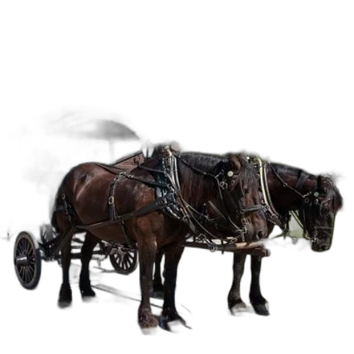 animal, weapon, staff, robot transparent PNG cut-out