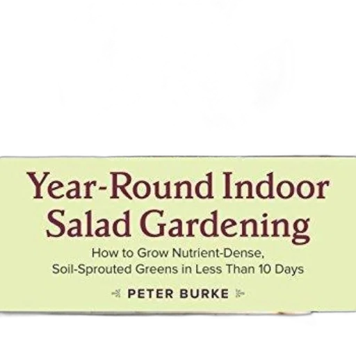 year-round, indoor, salad, gardening transparent PNG cut-out