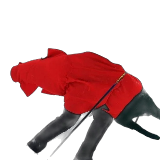 jacket, umbrella, staff, weapon transparent PNG cut-out