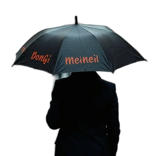 umbrella, hat, jacket, staff transparent PNG cut-out