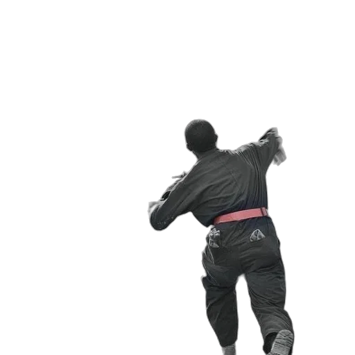 jacket, staff, weapon, creature transparent PNG cut-out