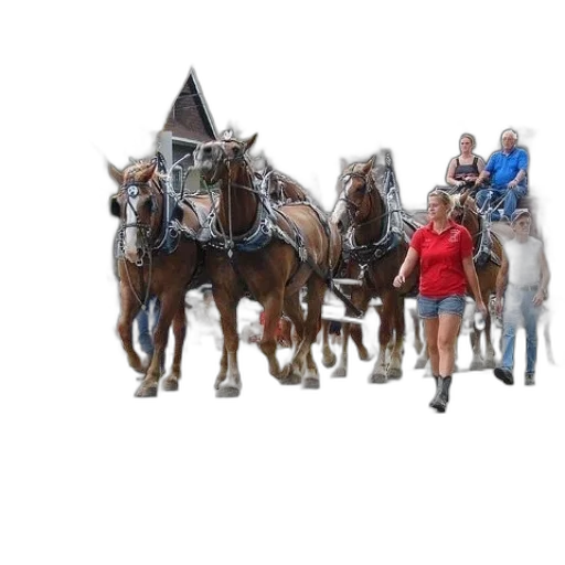 staff, animal, crown, photorealistic transparent PNG cut-out