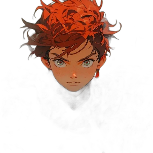 face, crown, hair, mask transparent PNG cut-out