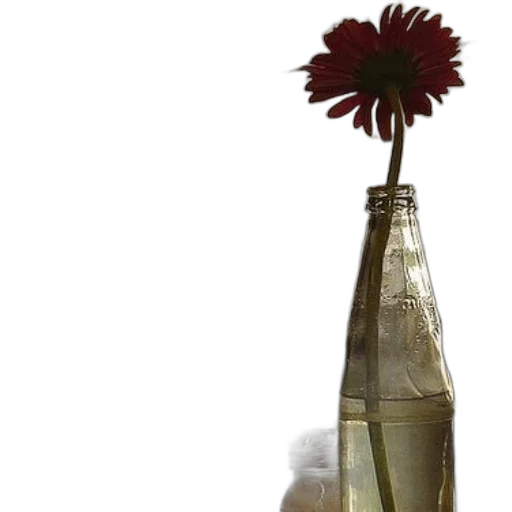 bottle, weapon, flower, umbrella transparent PNG cut-out