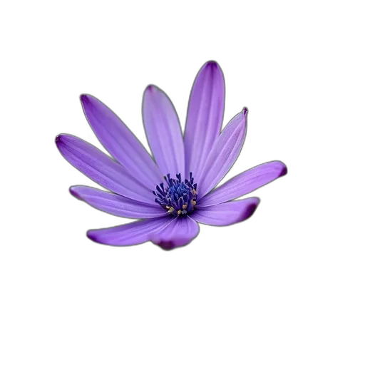 flower, jewelry, crown, staff transparent PNG cut-out