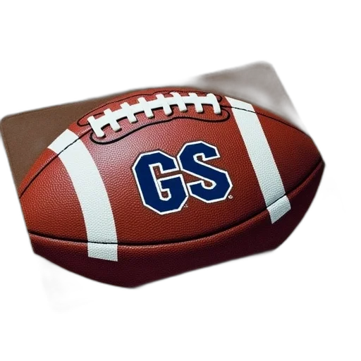brown, white, doormat, football transparent PNG cut-out
