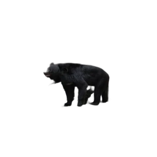 animal, creature, staff, pixel art transparent PNG cut-out