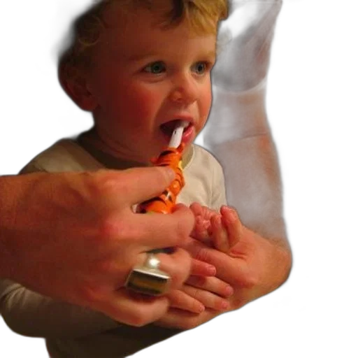 food, weapon, creature, jewelry transparent PNG cut-out