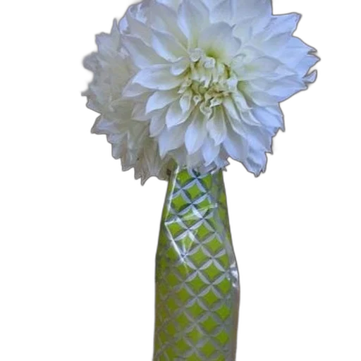 flower, staff, umbrella, jewelry transparent PNG cut-out
