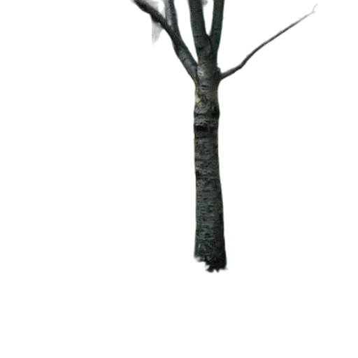 tree, staff, furniture, weapon transparent PNG cut-out