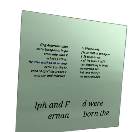crown, text-heavy, image, white transparent PNG cut-out