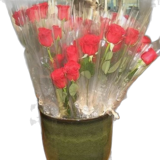 bottle, flower, crown, umbrella transparent PNG cut-out