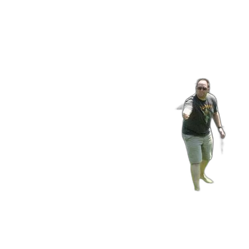 creature, animal, staff, weapon transparent PNG cut-out