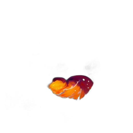 animal, crown, creature, food transparent PNG cut-out