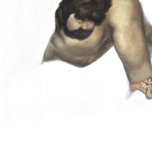 creature, hair, face, animal transparent PNG cut-out