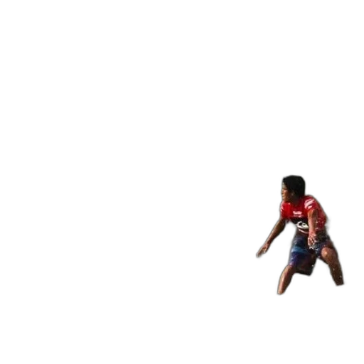 animal, weapon, creature, shoes transparent PNG cut-out