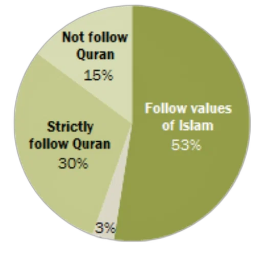 pie, chart, showing, percentage transparent PNG cut-out
