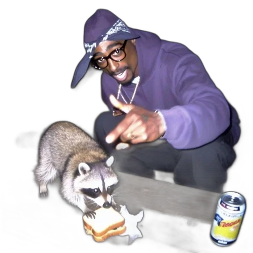 animal, creature, jacket, food transparent PNG cut-out