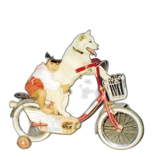animal, watercolor, photorealistic, concept art transparent PNG cut-out