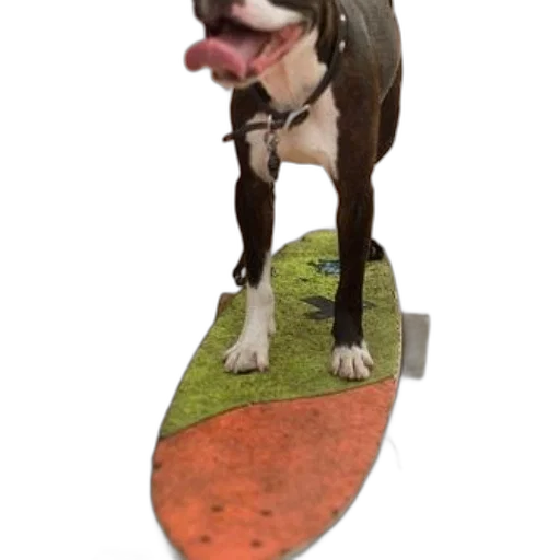 animal, staff, creature, weapon transparent PNG cut-out