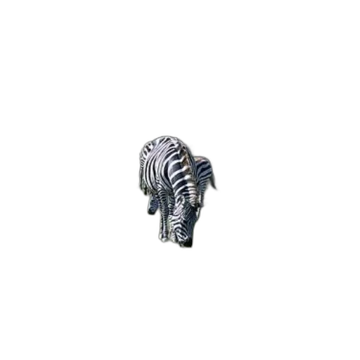 animal, creature, hair, jacket transparent PNG cut-out
